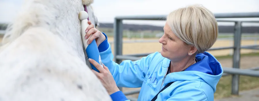 Alexandra Ulrich behandelt den Hals eines Schimmels mit dem NeuroStim
